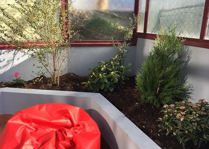 Miguel Bombarda Cozy ポルト