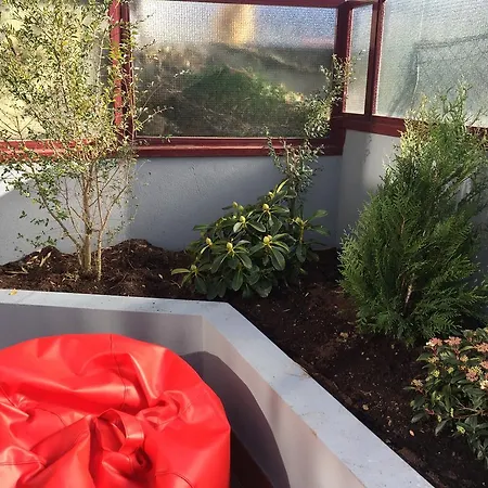 Miguel Bombarda Cozy 波尔图